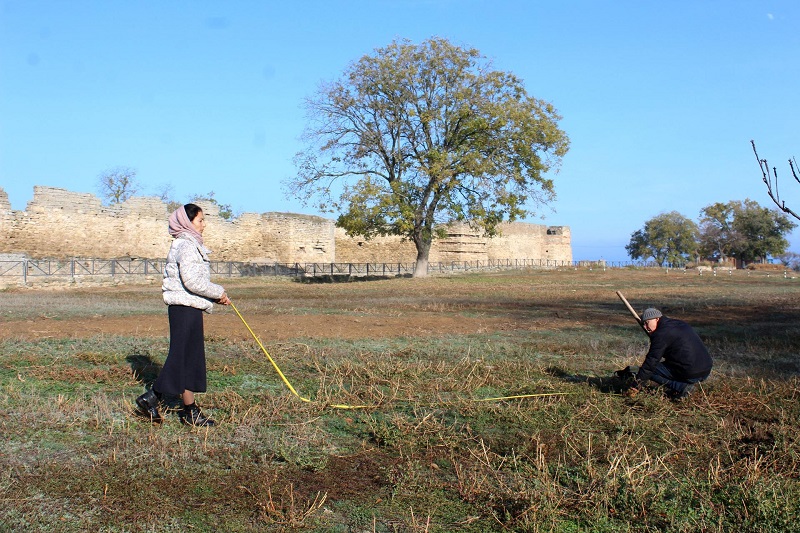 Рядом с сакурами: возле Аккерманской крепости появится аллея павловний