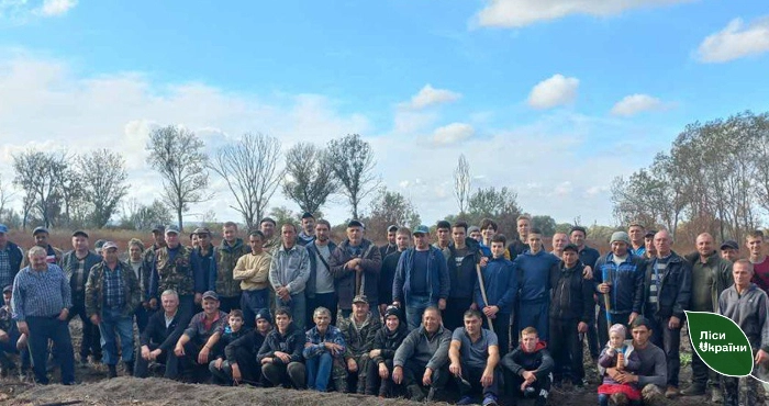 В Одеському районі висадили три гектари лісу