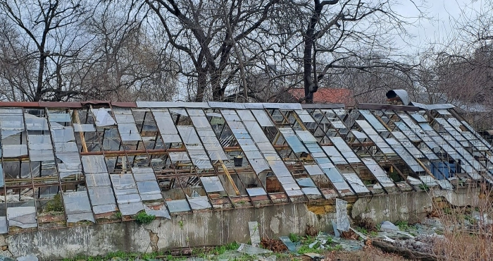 Під час останнього ракетного обстрілу постраждав Одеський ботанічний сад