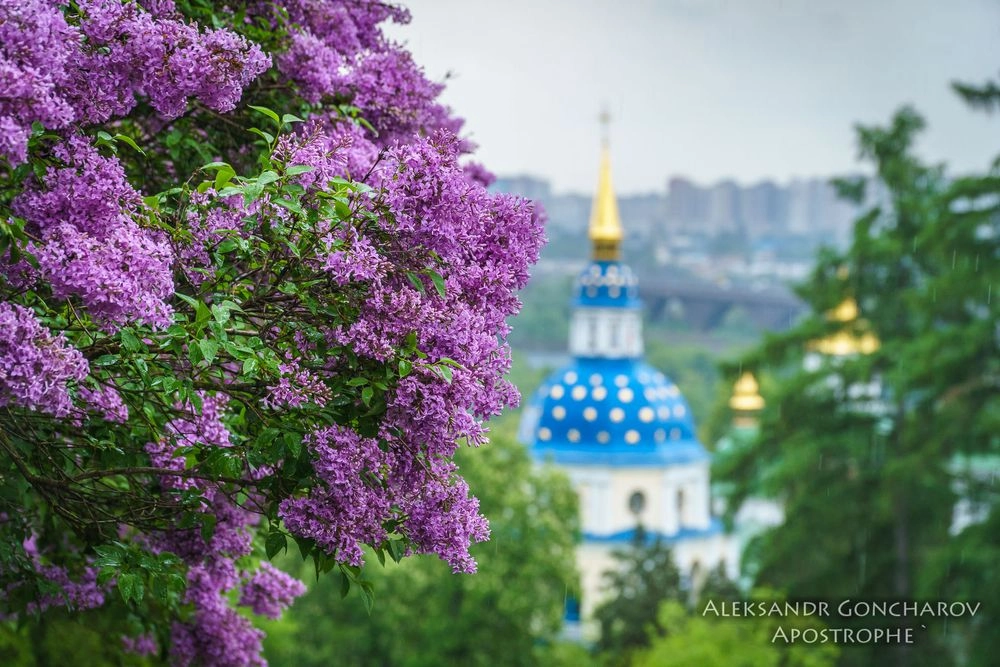 Ботанічний сад імені Гришка у Києві зазнає пошкоджень через недобросовісних відвідувачів